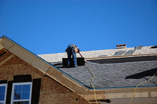 Best Storm Damage Roof Repair  in Graysville, TN